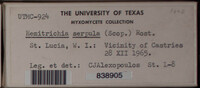Image Associated With the Occurrence